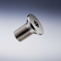 Schraube DIN 7991