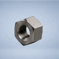 ISO 4032 M20 Mutter